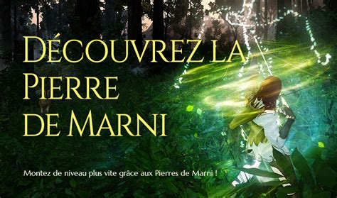 vendeur pierre de marni